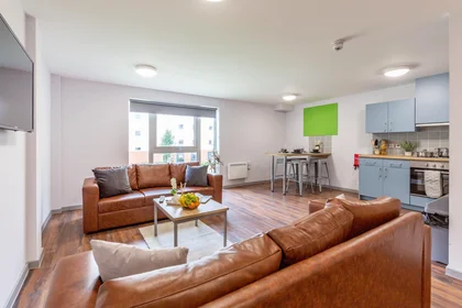 Habitación privada en Bryson Court Reception Portland Road, Newcastle Upon Tyne, NE2 1DT, imagen 22 de 49