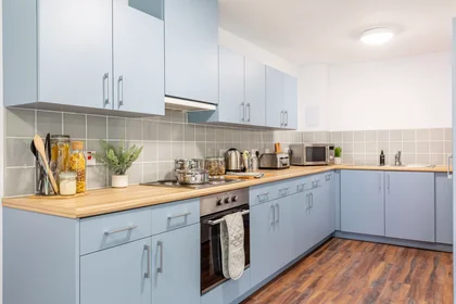 Habitación privada en Bryson Court Reception Portland Road, Newcastle Upon Tyne, NE2 1DT, imagen 23 de 49