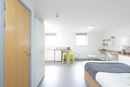 私人房间 在 Bryson Court Reception Portland Road, Newcastle Upon Tyne, NE2 1DT, 49的图像11