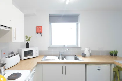 私人房间 在 Bryson Court Reception Portland Road, Newcastle Upon Tyne, NE2 1DT, 49的图像13