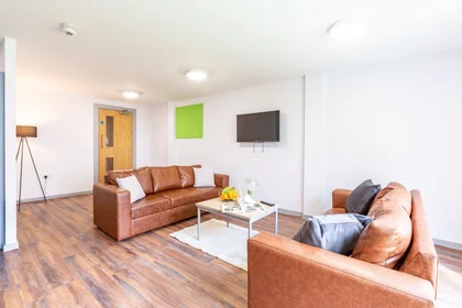 私人房间 在 Bryson Court Reception Portland Road, Newcastle Upon Tyne, NE2 1DT, 49的图像25