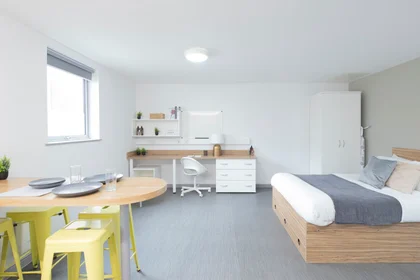私人房间 在 Bryson Court Reception Portland Road, Newcastle Upon Tyne, NE2 1DT, 49的图像5
