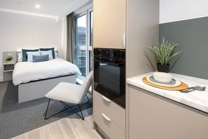 Estudio en true Sheffield, 12 Tenter Street, Sheffield S1 4XF, imagen 1 de 10