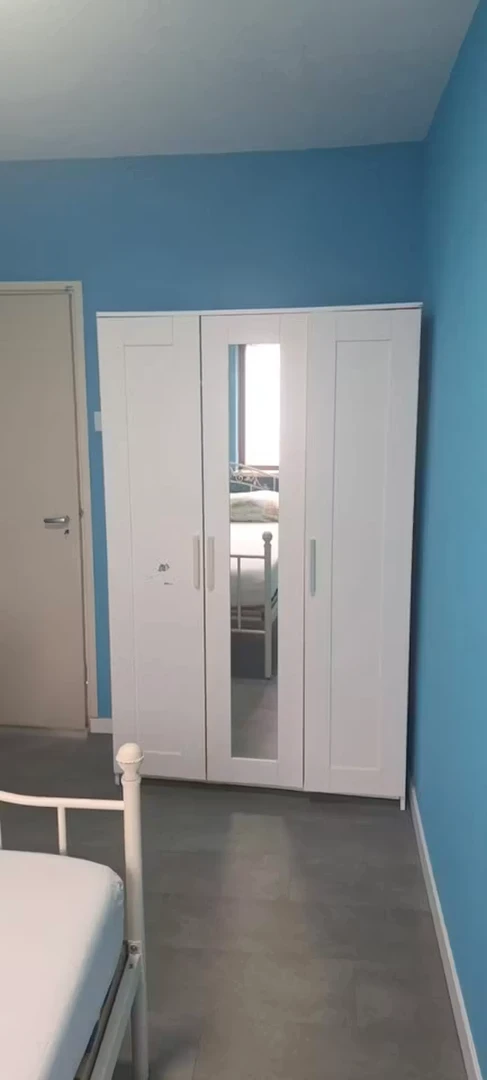 Niedrogi pokój studencki blisko kampusu w 
