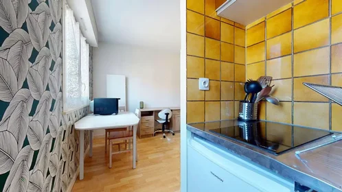 Appartamento intero in Avenue Léon Blum, Saint-Jacques, immagine 7 di 10