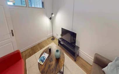 Habitación privada en 6 Quai Romain Rolland, 69005 Lyon, France, imagen 8 de 21