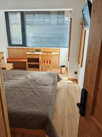 Quarto privado em ulitsa "Danail Dechev", Hladilnika, imagem 2 de 10