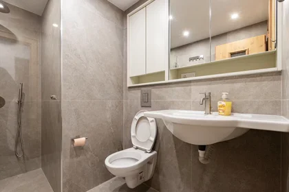 Quarto privado em ulitsa "Danail Dechev", Hladilnika, imagem 10 de 10