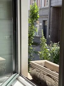 Appartamento intero in Nieuwpoort, Binnenstad, immagine 9 di 10