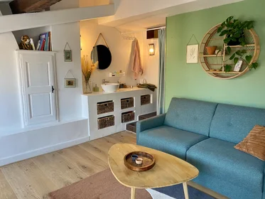 Entire apartment at Rue des Cordeliers, Vieille Ville, image 8 of 10