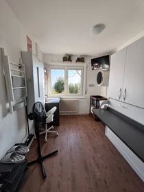 Private room at Chemin du Caudoz 41, image 1 of 10