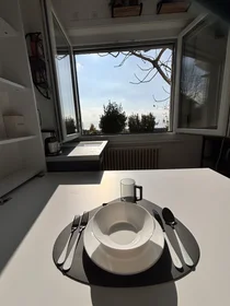Stanza privata in Chemin du Caudoz 41, immagine 11 di 19