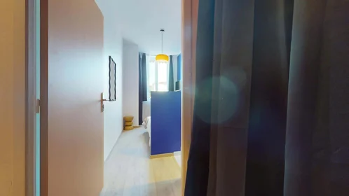 Habitación privada en 57 Rue Eugène Pons, 69004 Lyon, France, imagen 2 de 16