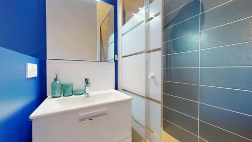 Prywatny pokój 57 Rue Eugène Pons, 69004 Lyon, France, obraz 6 14
