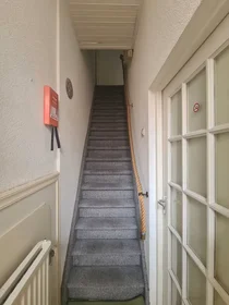Logement entier à Narcisstraat, Ondiep, image 3 de 10