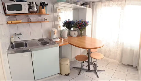 Appartamento intero in Narcisstraat, Ondiep, immagine 10 di 10