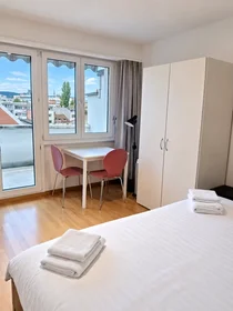 Apartamento inteiro em Riehenring, Matthäus, imagem 9 de 10