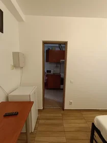 Apartamento inteiro em Calea Moților, Cluj-Napoca, imagem 7 de 10