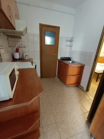 Apartamento inteiro em Calea Moților, Cluj-Napoca, imagem 10 de 10