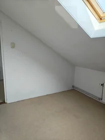 Habitación privada en Burggravenlaan, Burgemeesters-en Professorenwijk, imagen 1 de 5