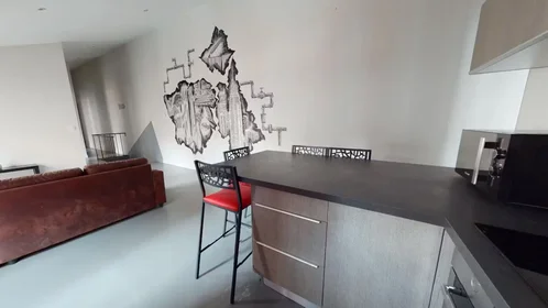 Habitación privada en Rue Gambetta, Saint-Roch-Valbenoite-Badouillère, imagen 8 de 10