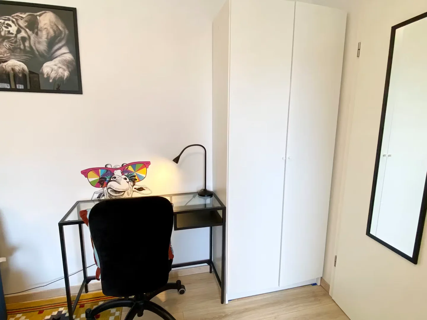 Chambre abordable pour les étudiants avec un bon éclairage dans