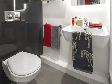 Privatzimmer im Wohnheim in der 5 Drysdale Rd, Edinburgh EH11 1FA, United Kingdom                   , bild 14 von 16