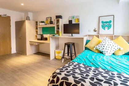 Studio im Wohnheim in der Holden Court, 35 Hollingdean Rd, Brighton and Hove, Brighton BN2 4QY, United Kingdom, bild 15 von 25