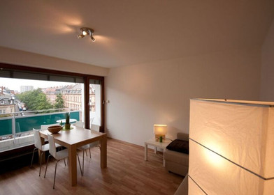 Wspaniałe mieszkanie typu studio w Karlsruhe