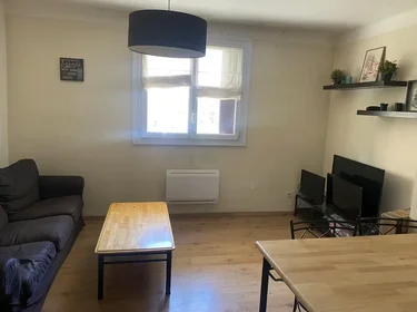 Privatzimmer in der Rue Sainte-Véronique, Lemasson, bild 7 von 10