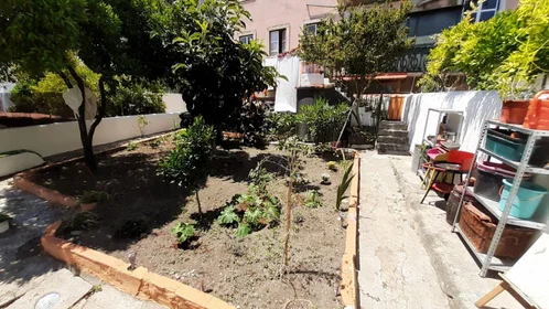 Stanza privata in Rua Carrião, immagine 32 di 39