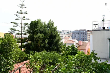 Stanza privata in Rua Carrião, immagine 33 di 39