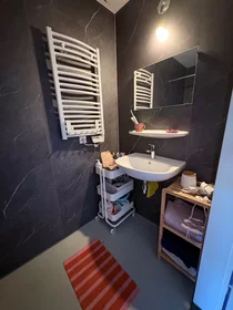 Appartamento intero in Antony Moddermanstraat, Strijp, immagine 10 di 10