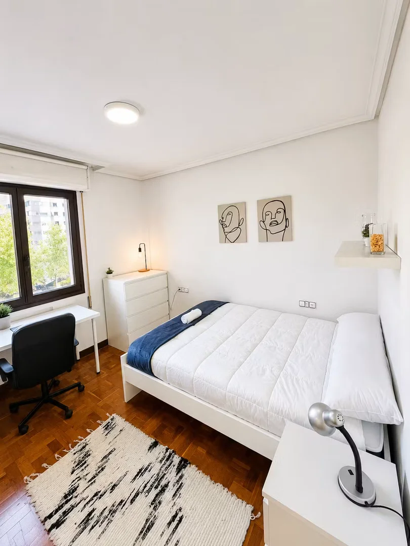 Student-friendly room in with modern amenities