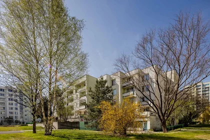 Prywatny pokój Hawajska , obraz 9 11