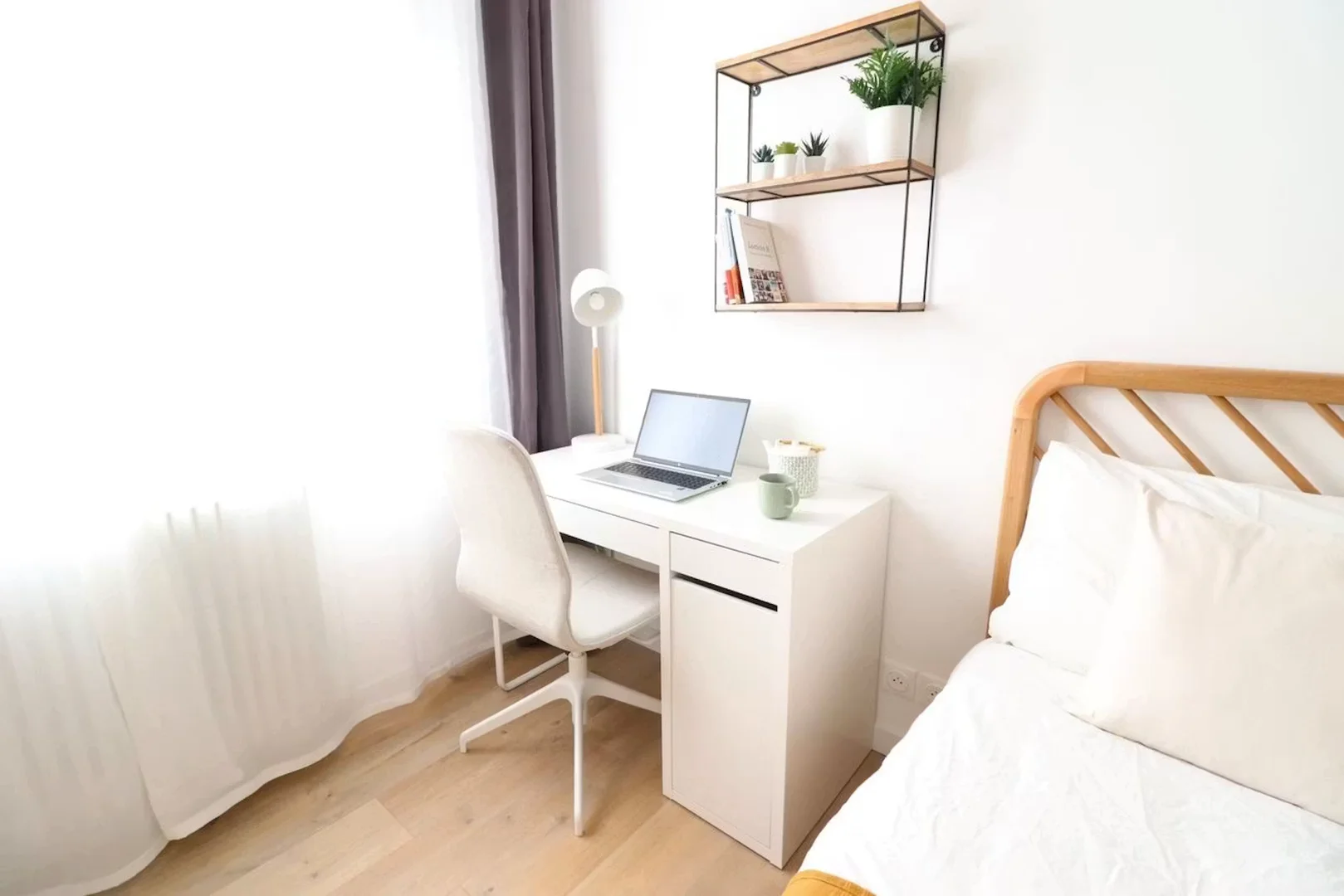 Affordable room for students with ample lighting in 