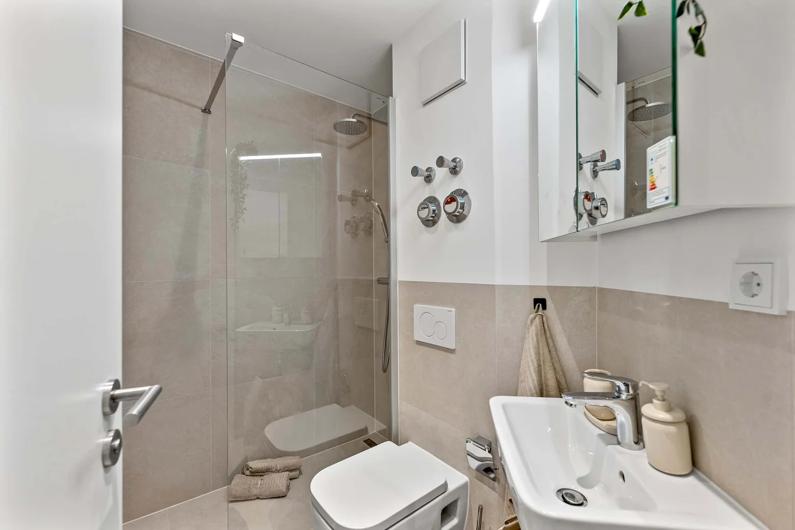 Affordable room for students with ample lighting in 