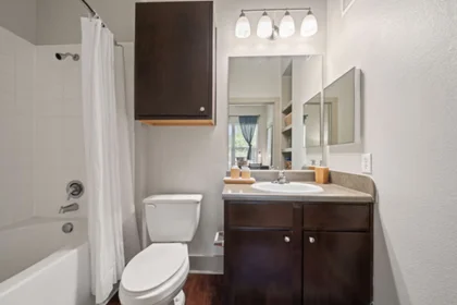 Alojamiento entero en residencia en 614 Holleman Dr E, College Station, TX 77840, United States, imagen 3 de 33