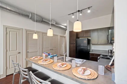 Alojamiento entero en residencia en 614 Holleman Dr E, College Station, TX 77840, United States, imagen 7 de 33