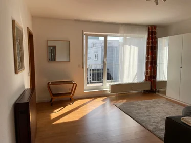 Gesamte Unterkunft in der Erbacher Straße, bild 4 von 22