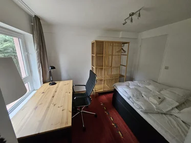 Habitación privada en Klingenteichstraße, imagen 4 de 8