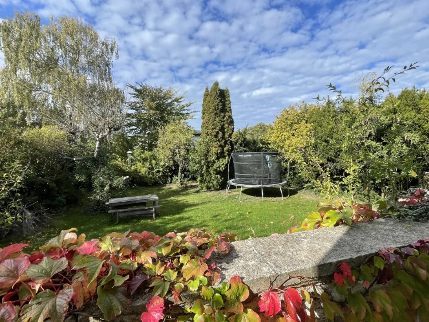 Krageholmsgatan 46