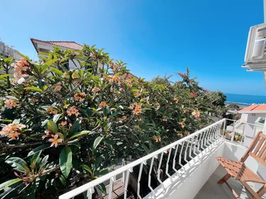 Prywatny pokój Funchal, Funchal, obraz 13 16