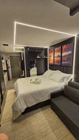 Entire apartment at Alameda Alceu Wamosy, image 11 of 18