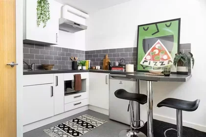 私人房间 在 Booth Street West, Manchester, M15 6PF, 34的图像32
