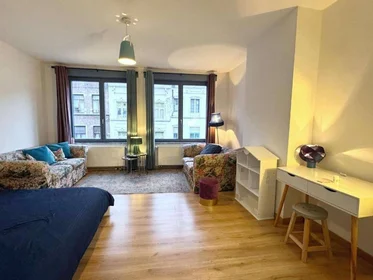 Stanza privata in Schaerbeek, 1030, immagine 1 di 10