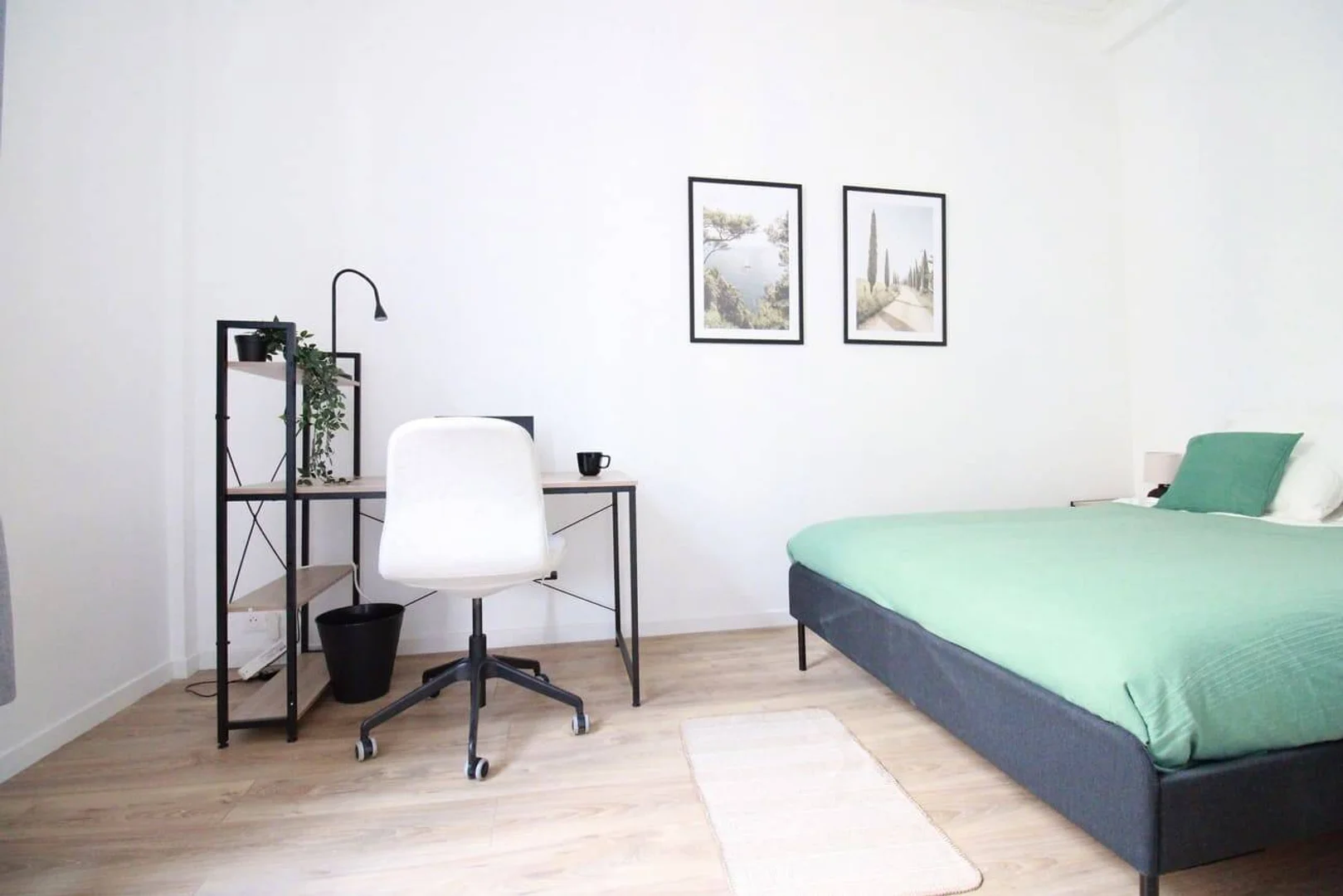 Affordable room for students with ample lighting in 
