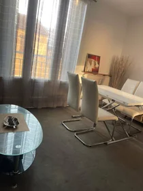 Habitación privada en Villeurbanne, 69100, imagen 12 de 19