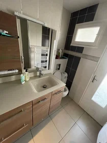 Habitación privada en Villeurbanne, 69100, imagen 13 de 19