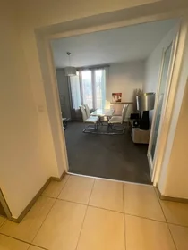 Habitación privada en Villeurbanne, 69100, imagen 14 de 19